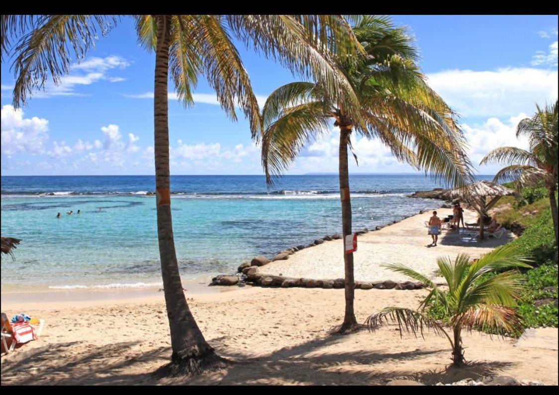 Gwada Cocoon & Blue Lagoon, 2 Studios Cote A Cote Au Manganao A St Francois & Choisissez Le Plus Adapte Saint-Francois  Zewnętrze zdjęcie